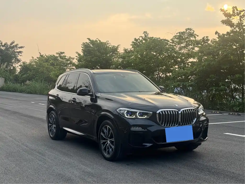 BMW X5 (Import) — миниатюра 3