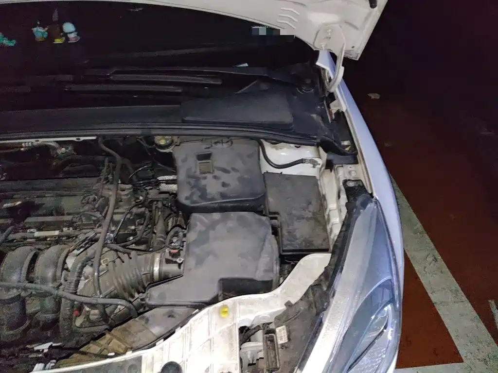 Ford Focus — миниатюра 24
