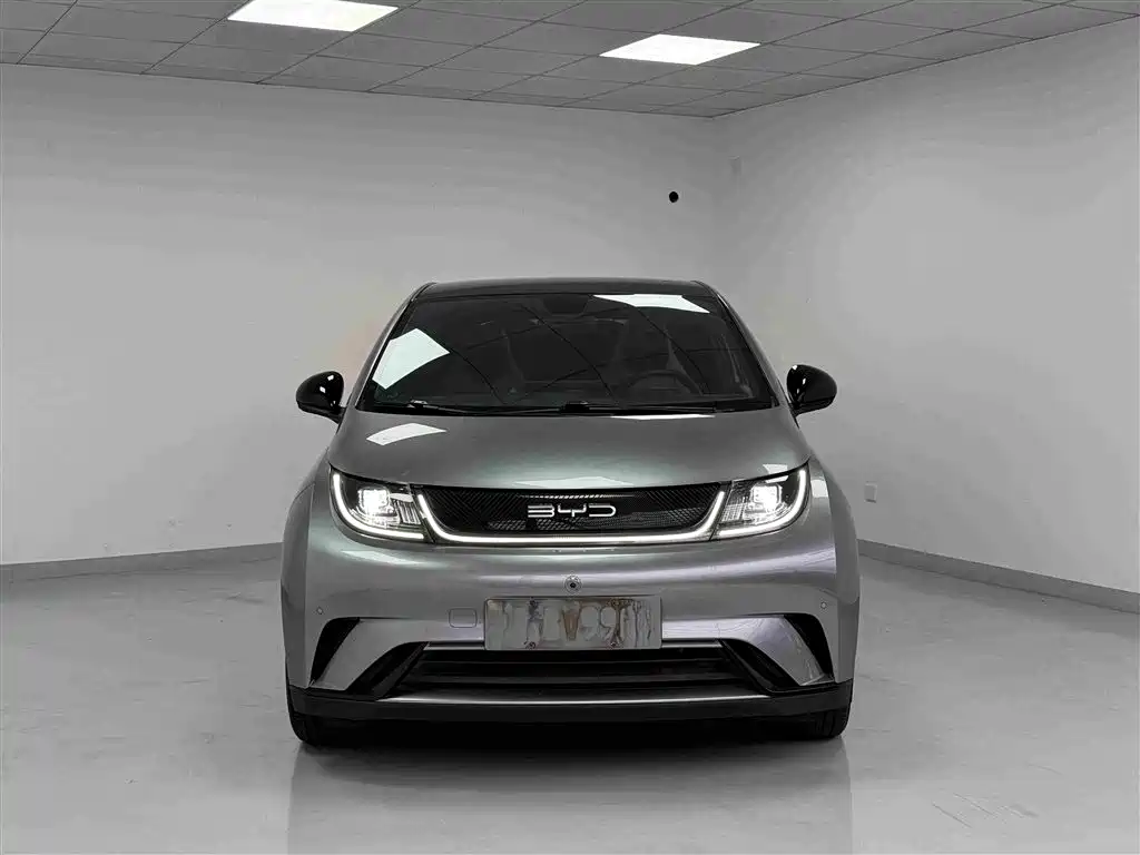 BYD Dolphin — миниатюра 2