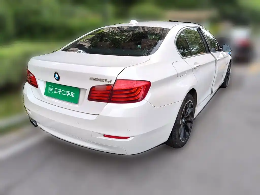 BMW 5 Series — миниатюра 5