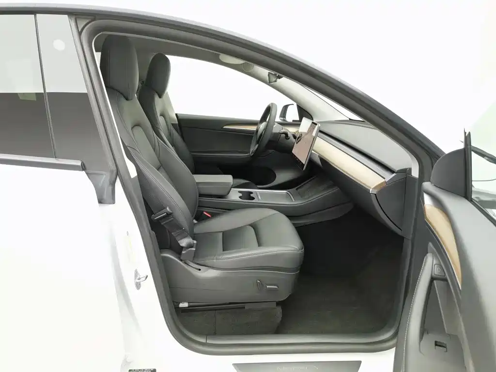 Tesla Model Y — миниатюра 23