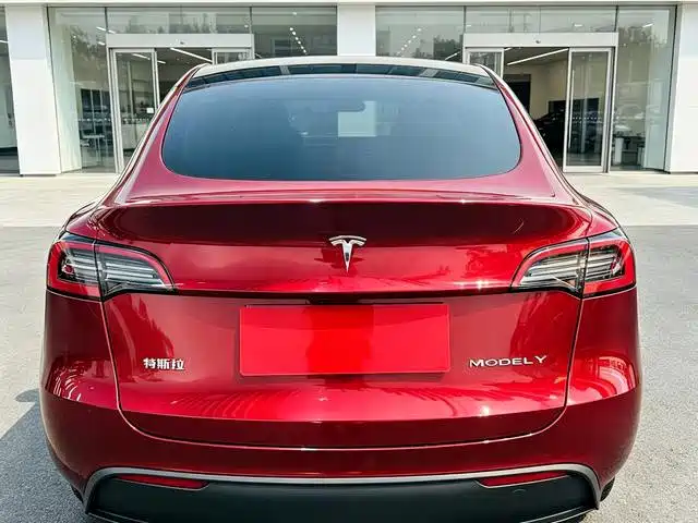 Tesla Model Y — миниатюра 5