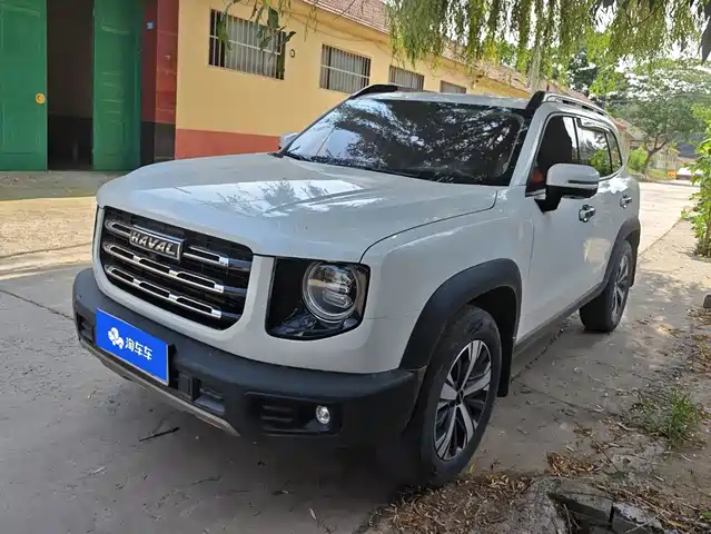 2021 Haval Big Dog