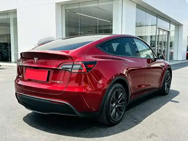 Tesla Model Y — миниатюра 4