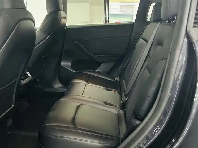 Tesla Model Y — миниатюра 7