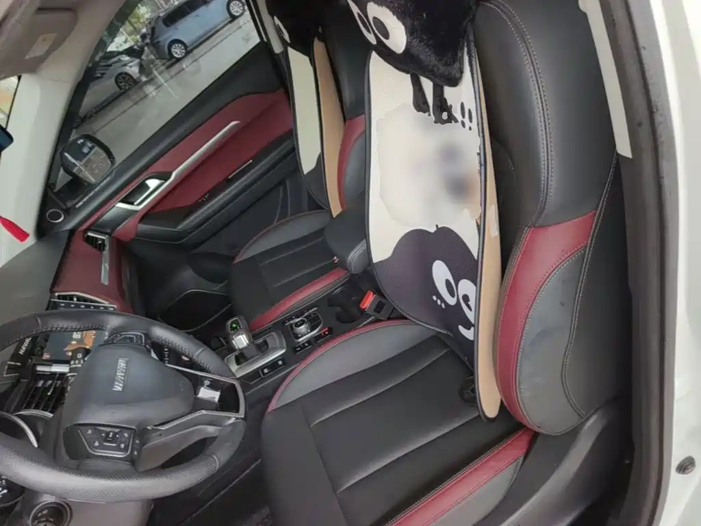 Haval H6 Coupe — миниатюра 15