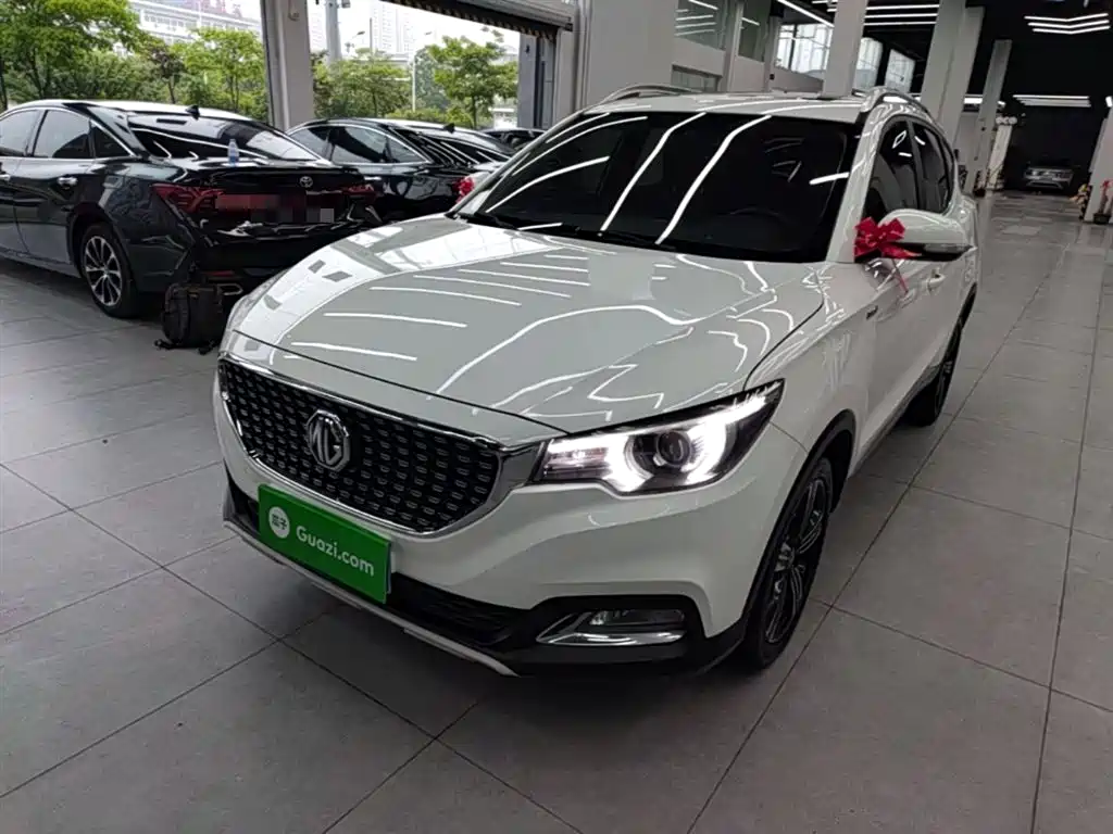 Mg ZS 2019