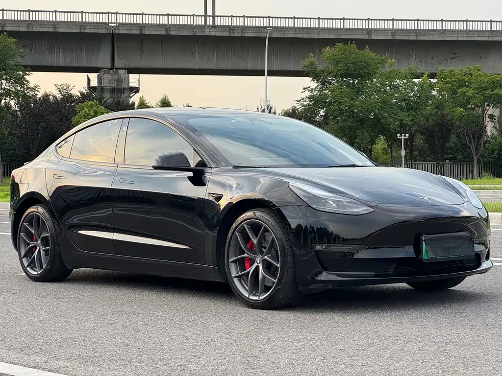 Tesla Model 3 — миниатюра 2