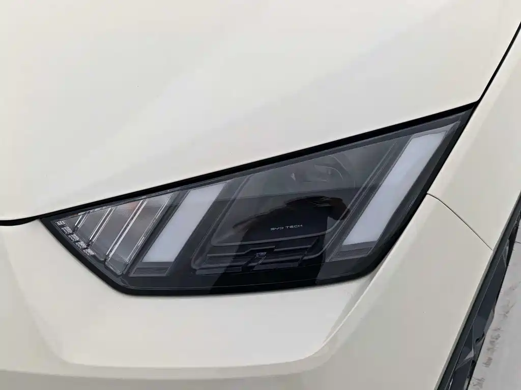 BYD Seagull 2024 305km Freedom
