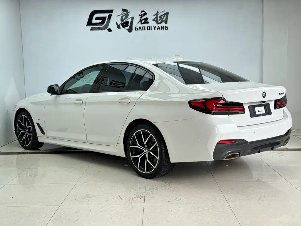 BMW 5 Series (Import) — миниатюра 28