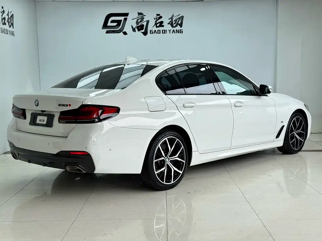 BMW 5 Series (Import) — миниатюра 26