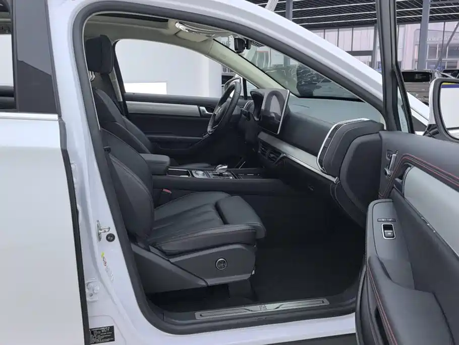 BYD Tang New Energy — миниатюра 8