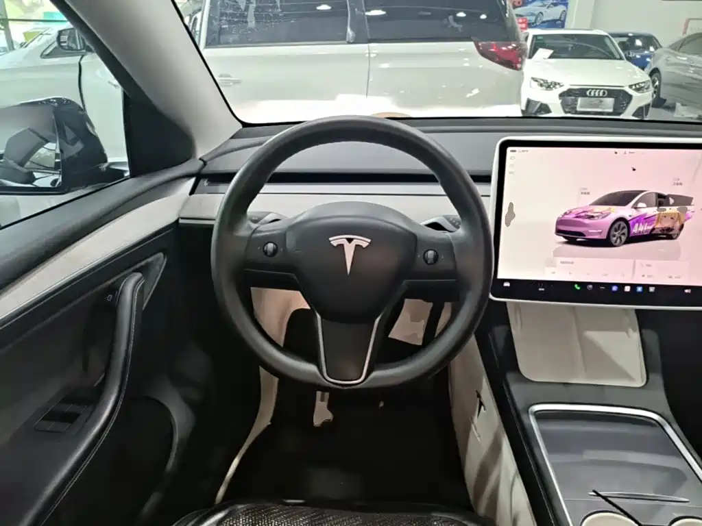 Tesla Model Y — миниатюра 11