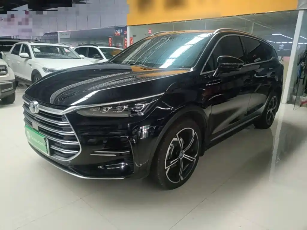 BYD Tang New Energy — миниатюра 2