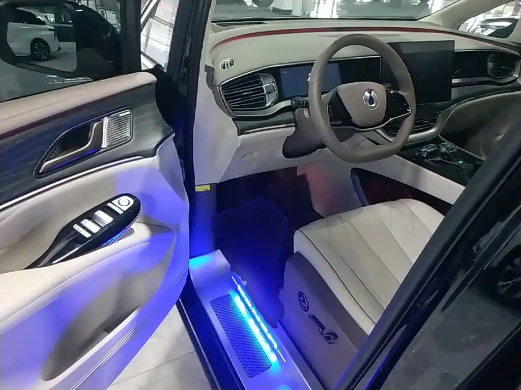 Denza Denza D9 — миниатюра 16