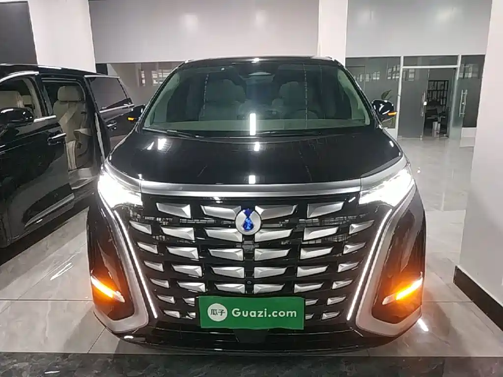 Denza Denza D9 — миниатюра 3