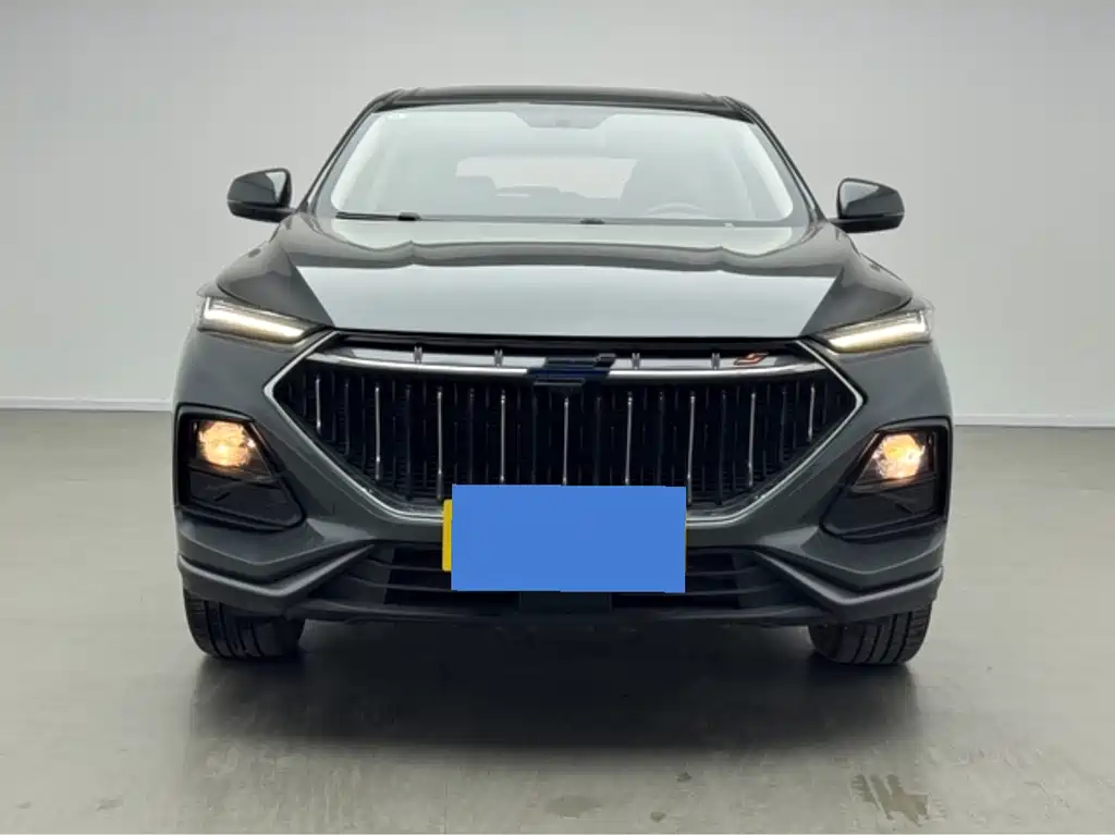 Oshan Oushang X5 — миниатюра 2