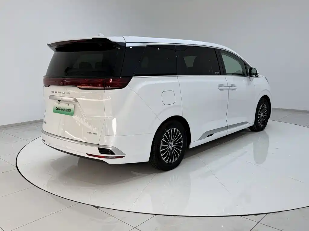 Denza Denza D9 — миниатюра 30