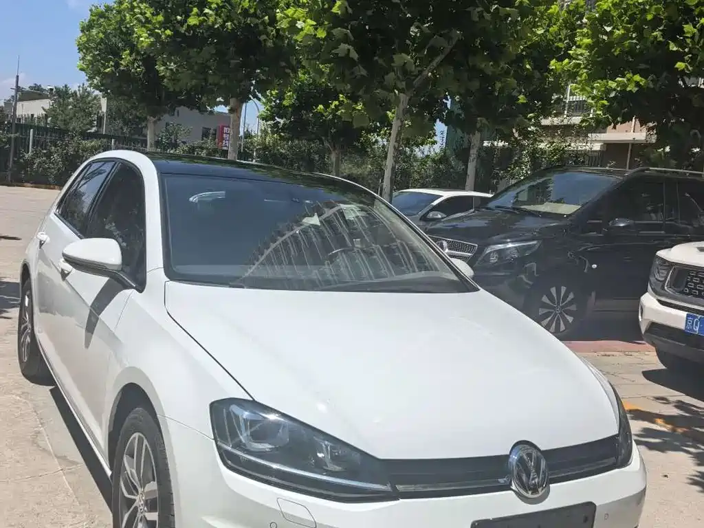 Volkswagen Golf 2014 1.4TSI AT Flagship