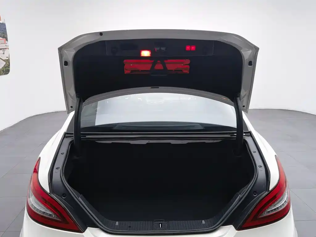 Mercedes-Benz CLS — миниатюра 16