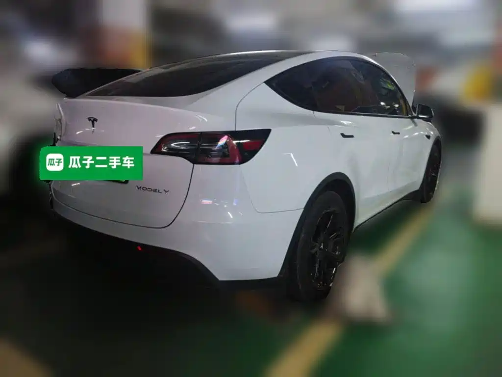 Tesla Model Y — миниатюра 6