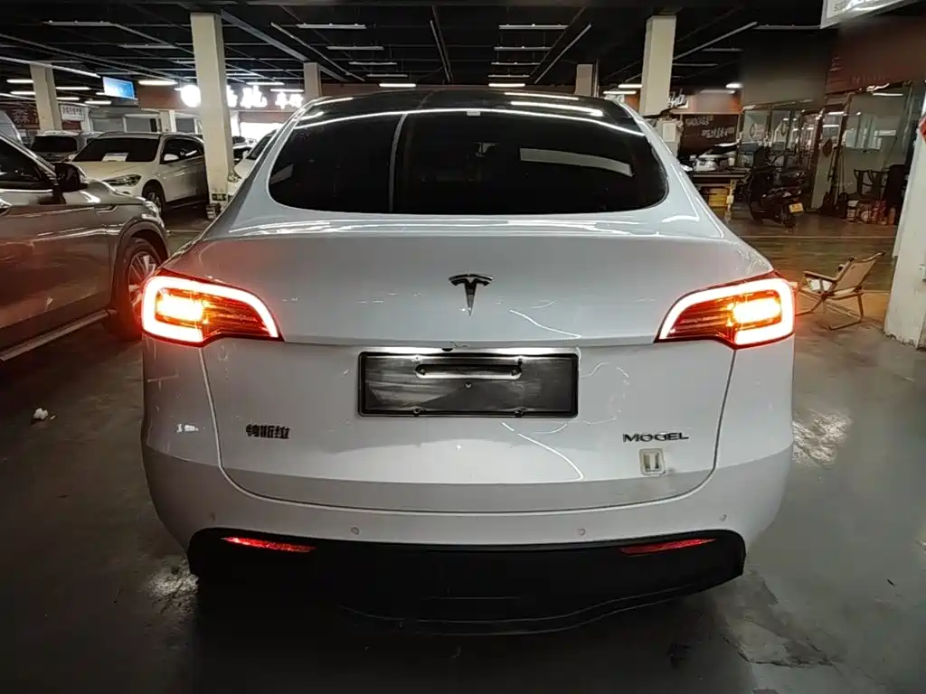 Tesla Model Y — миниатюра 6