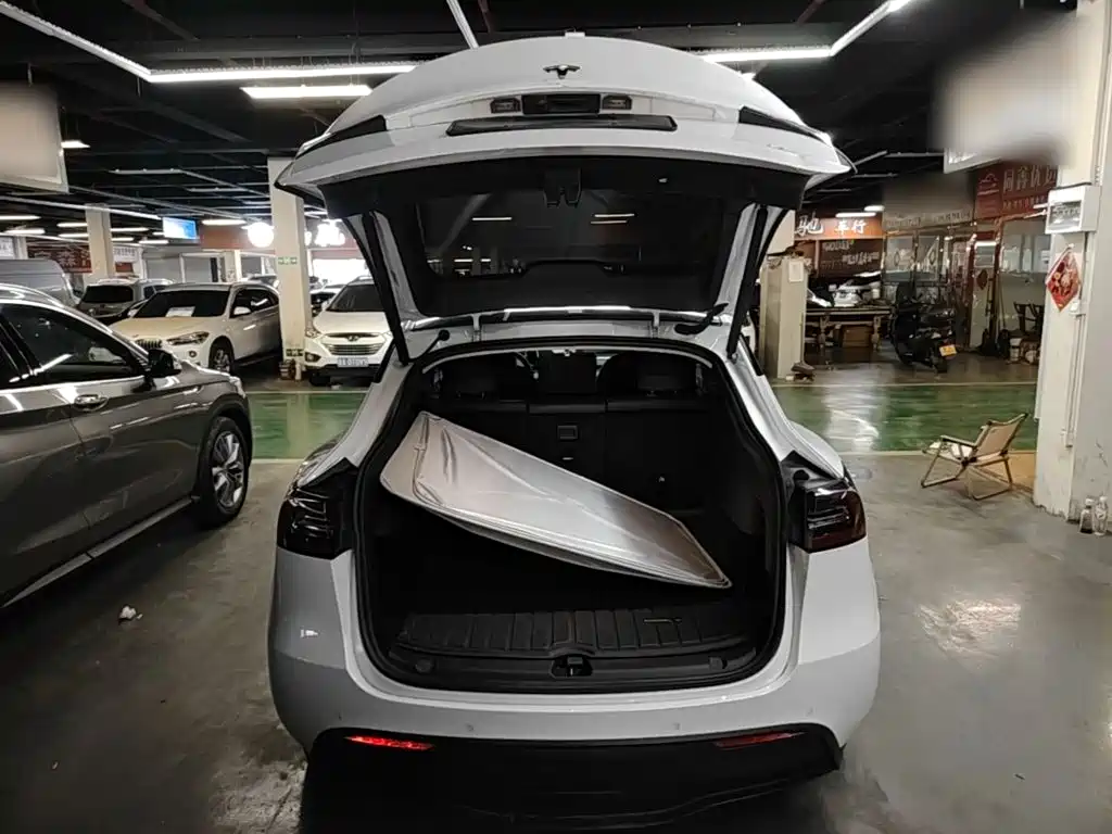Tesla Model Y — миниатюра 19