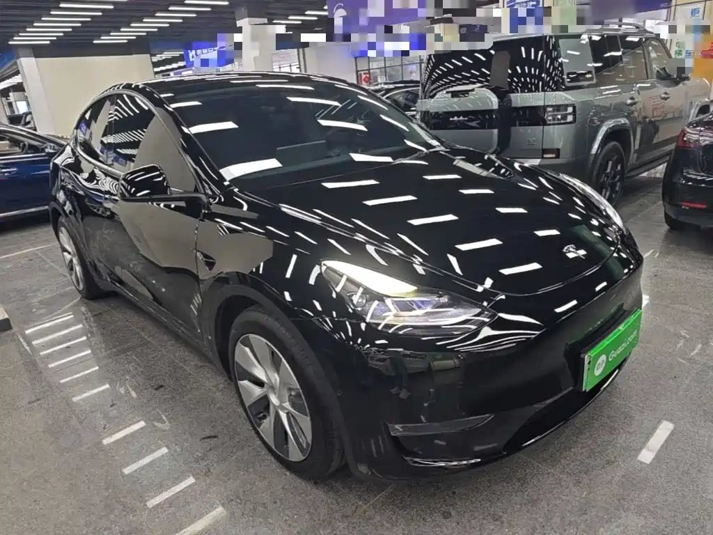 Tesla Model Y — миниатюра 4