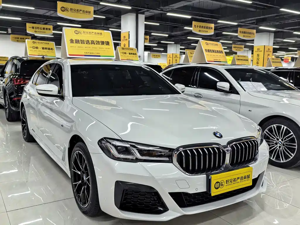 BMW 5 Series — миниатюра 3