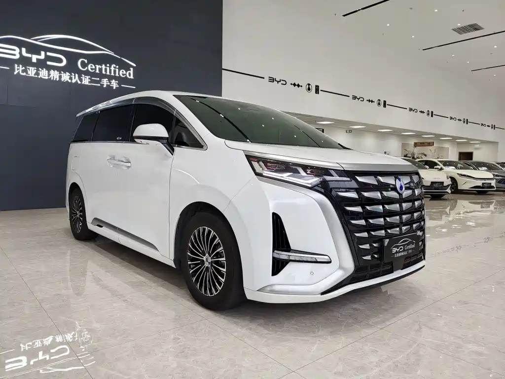 Denza Denza D9 — миниатюра 3