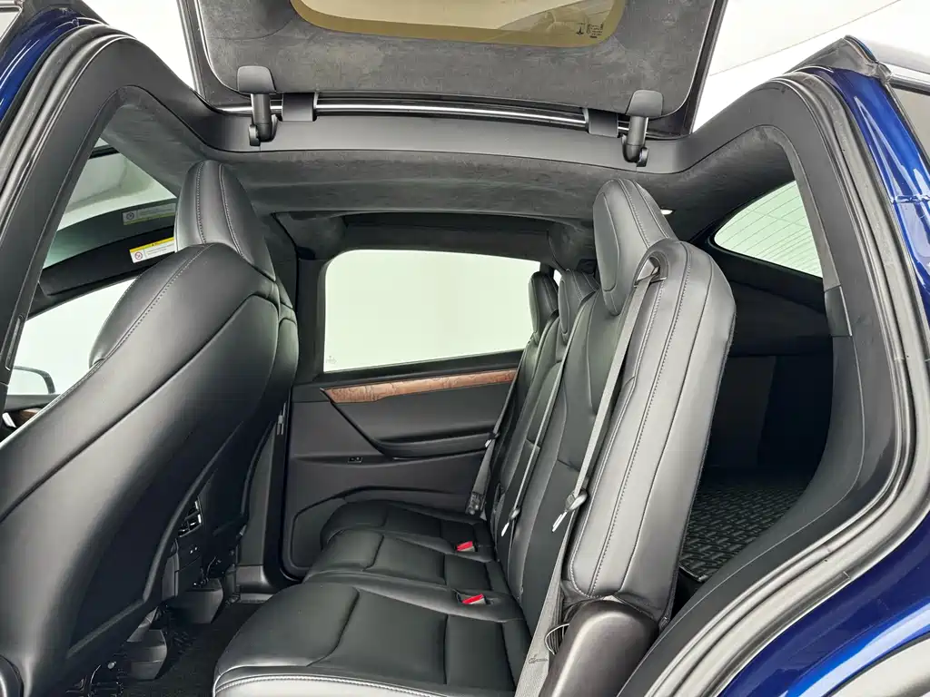 Tesla Model X — миниатюра 10