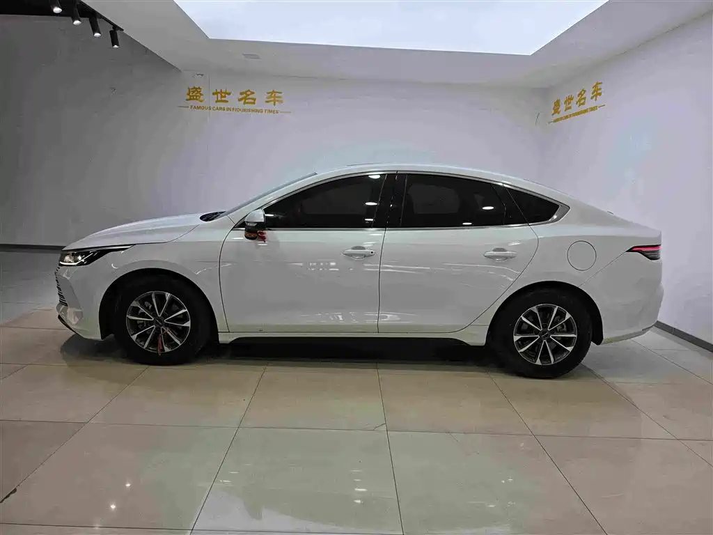 BYD Destroyer 05 — миниатюра 10