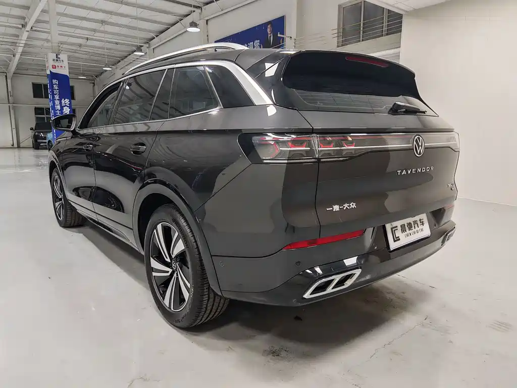 Volkswagen Tavendor — миниатюра 6