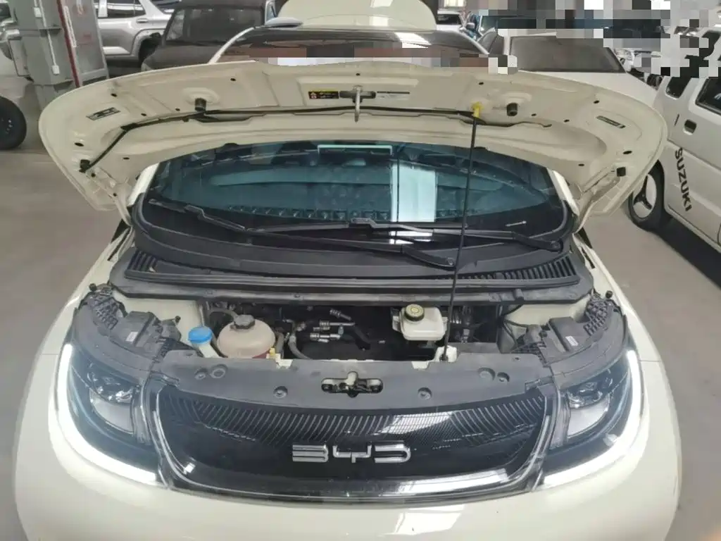 BYD Dolphin — миниатюра 20