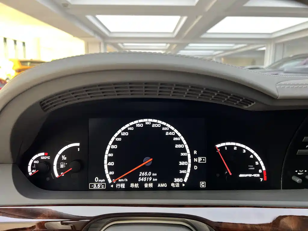 Mercedes-Benz S-Class A MG S AMG 2010 AMG S 65