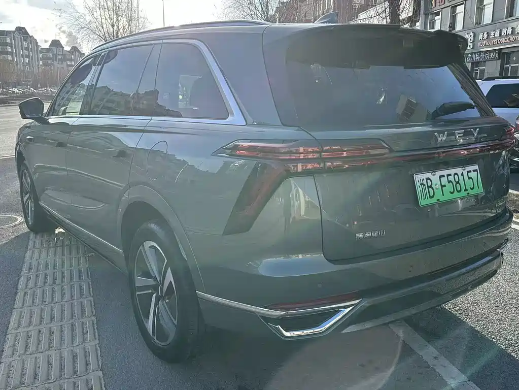 WEI PAI WEI BRAND BLUE MOUNTAIN