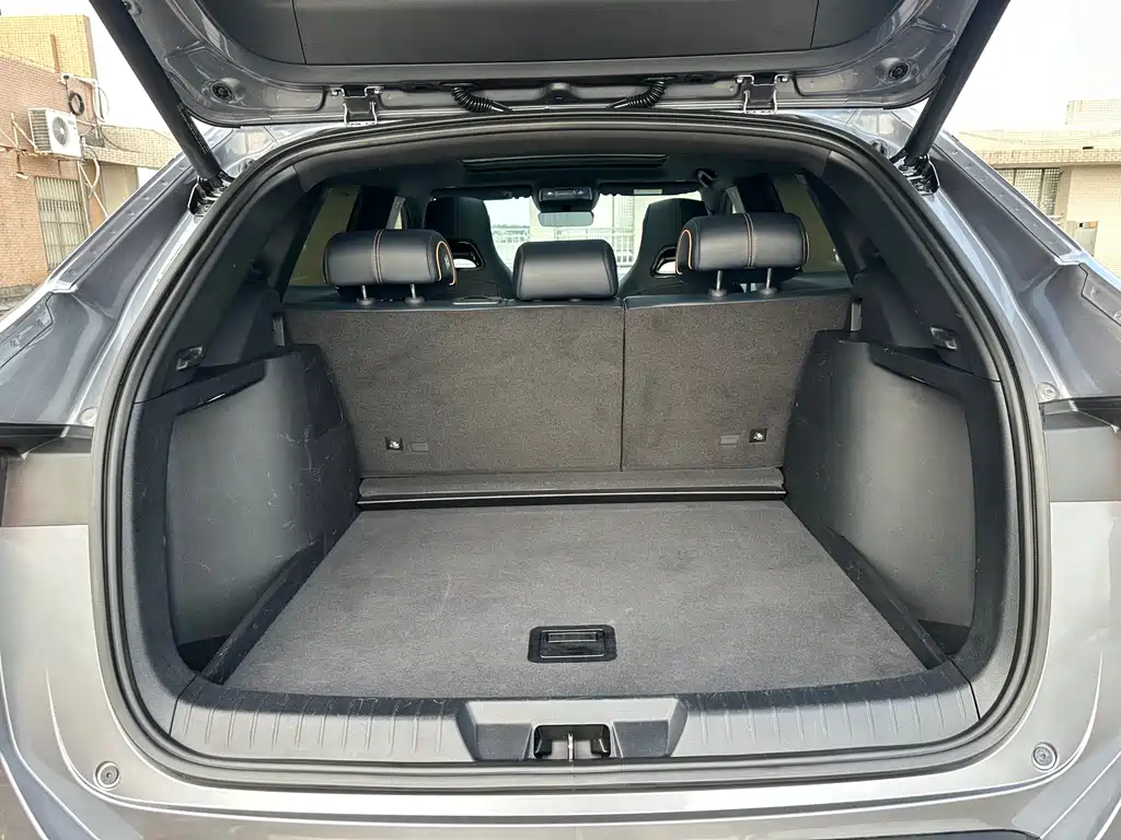 BYD PLUS New Energy — миниатюра 16