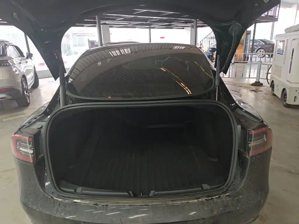 Tesla Model 3 — миниатюра 19