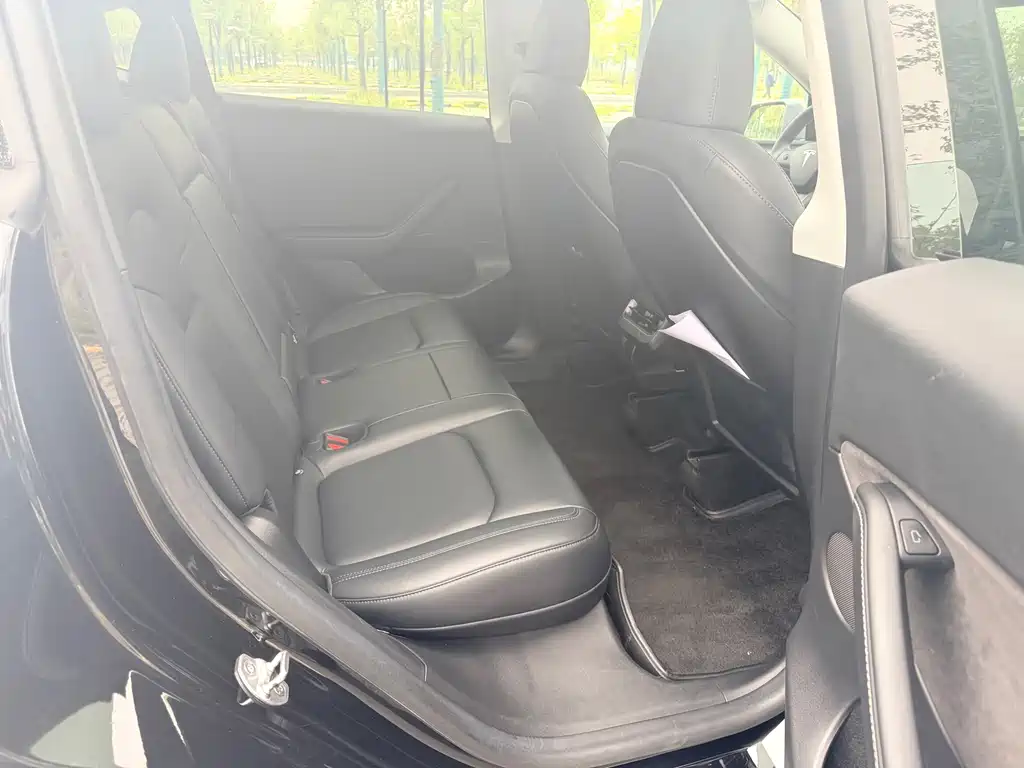 Tesla Model Y — миниатюра 10