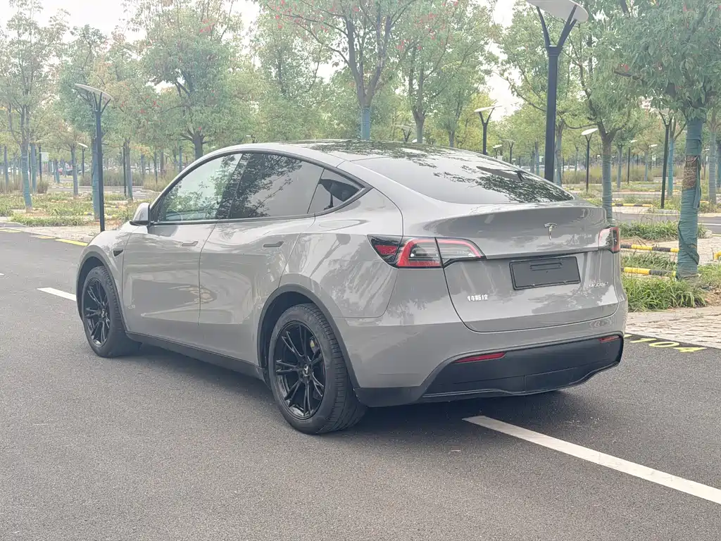 Tesla Model Y — миниатюра 13