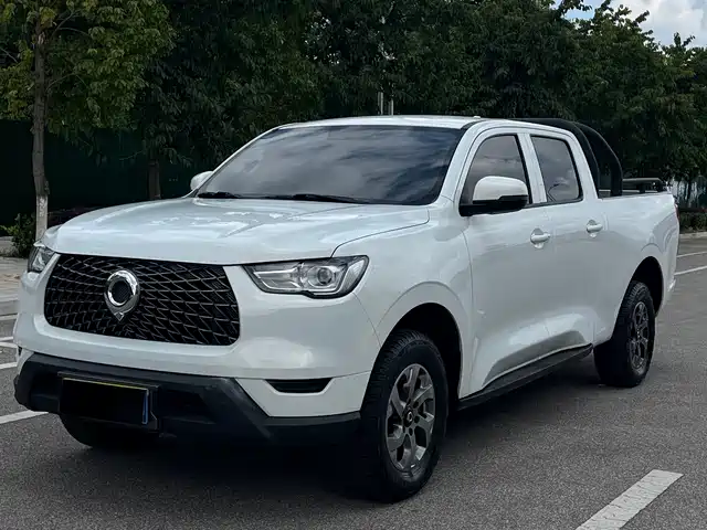 GREAT WALL CANNON 2023