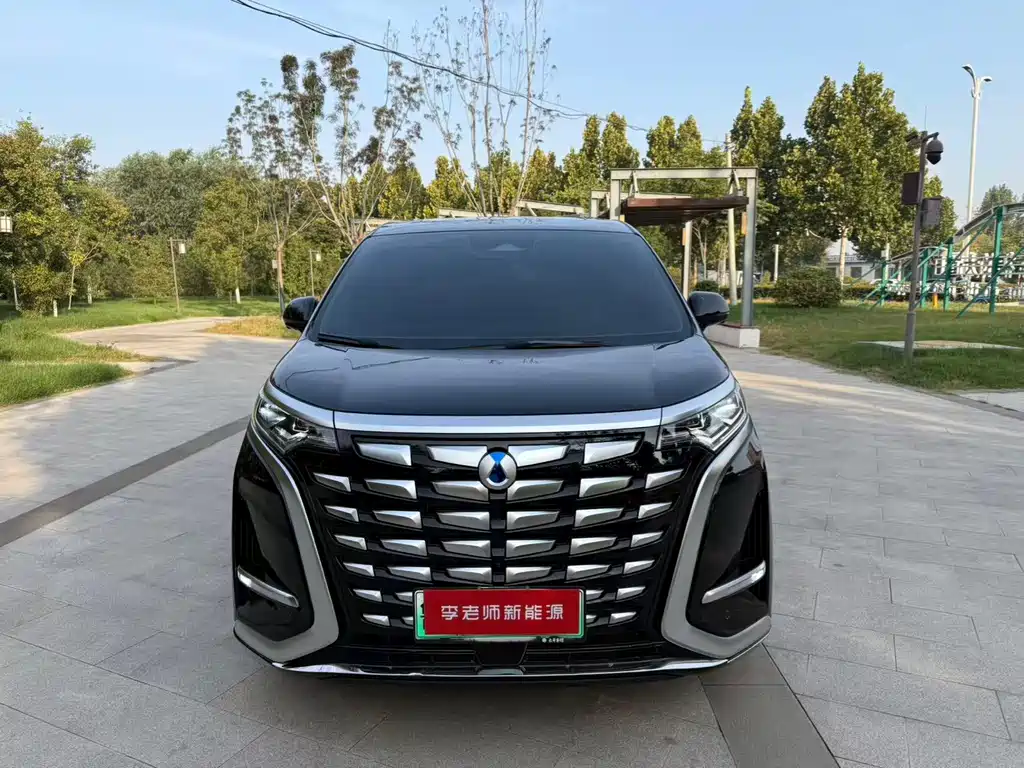 Denza Denza D9 — миниатюра 2