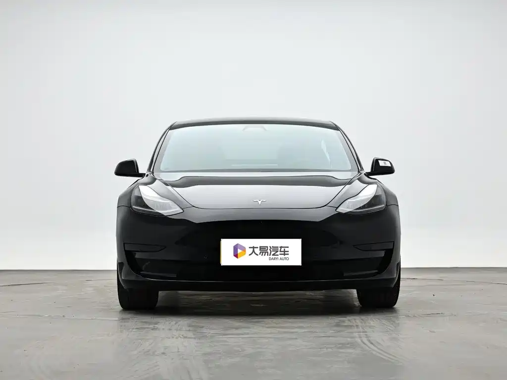 Tesla Model 3 — миниатюра 2