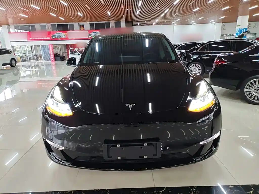 Tesla Model Y — миниатюра 3
