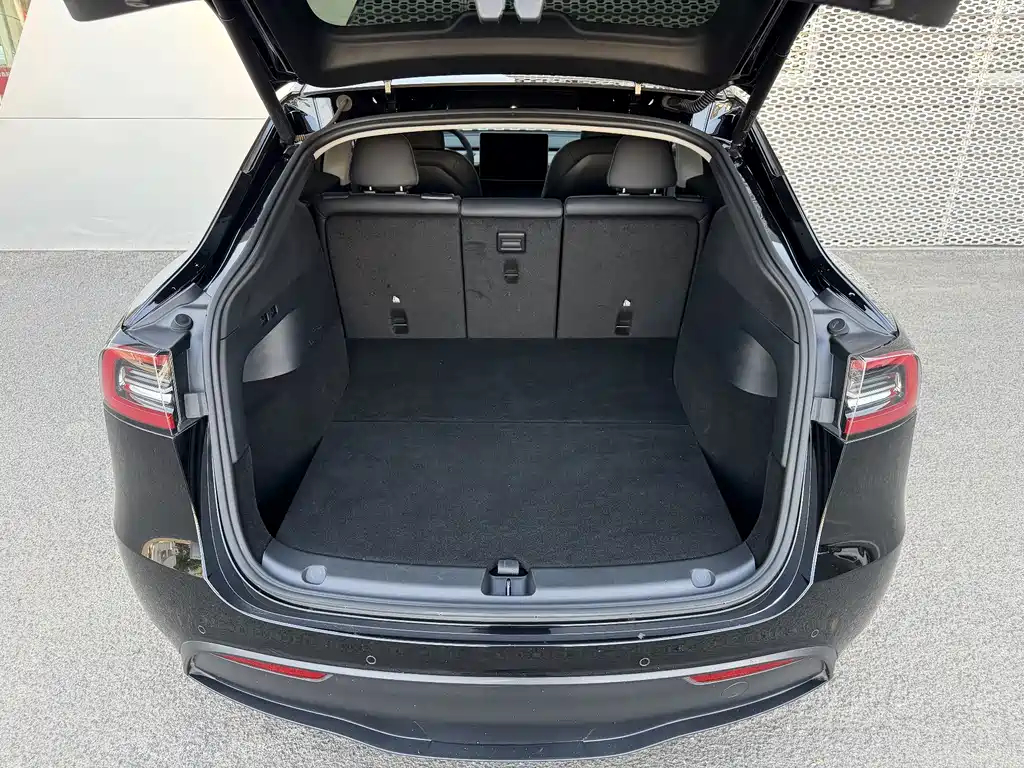 Tesla Model Y — миниатюра 6