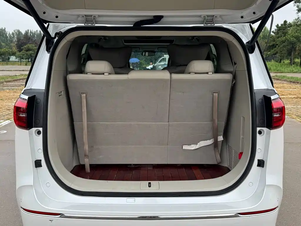 Buick GL8 — миниатюра 13