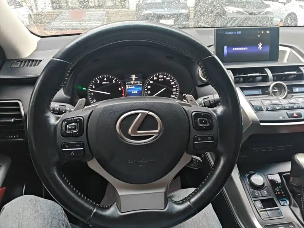 Lexus NX — миниатюра 11