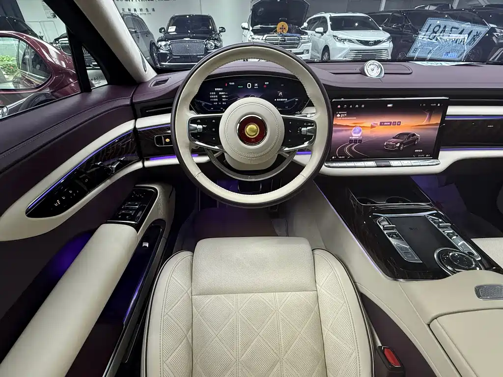 Hongqi Hongqi Golden Sunflower Guoya — миниатюра 13