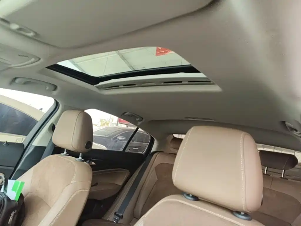 Buick Regal — миниатюра 18