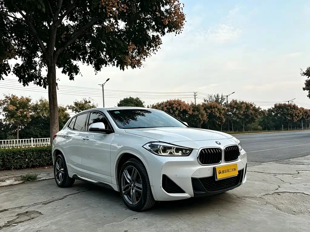BMW X2 — миниатюра 6